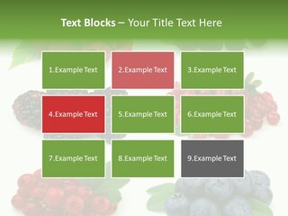Nature Young Animal PowerPoint Template