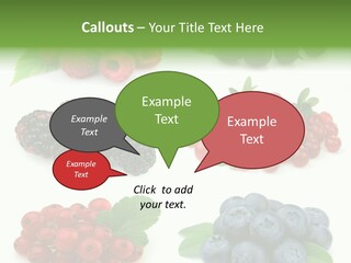 Nature Young Animal PowerPoint Template