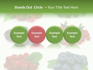 Nature Young Animal PowerPoint Template