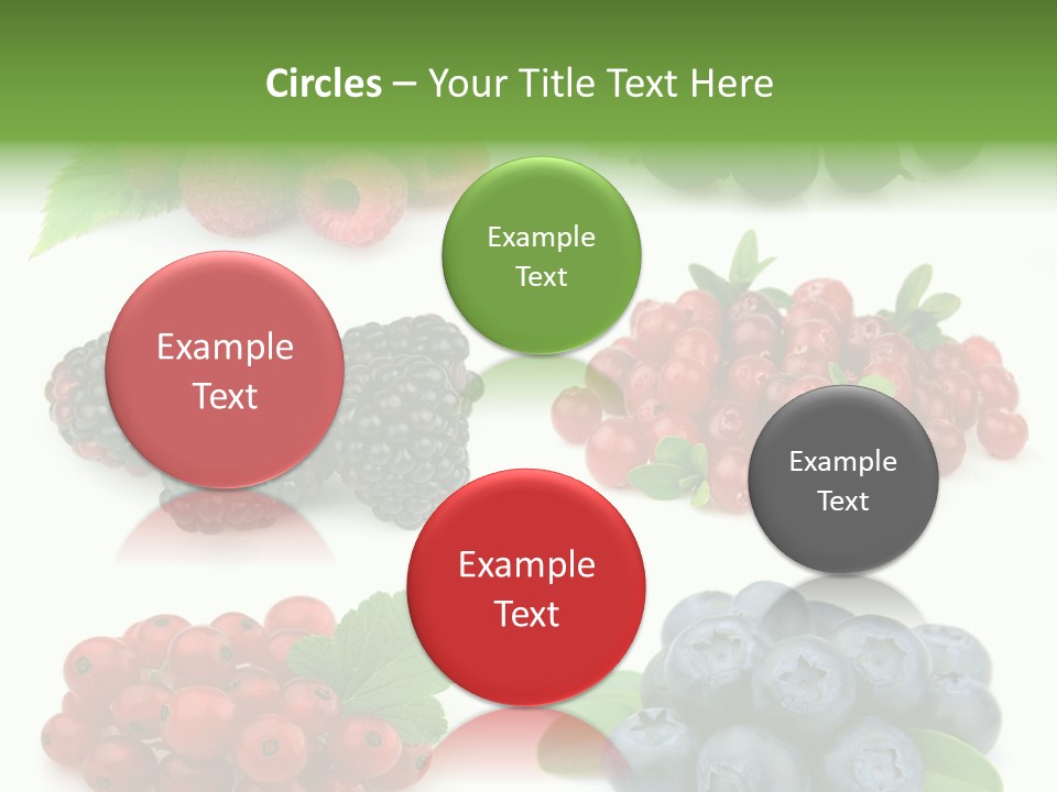 Nature Young Animal PowerPoint Template