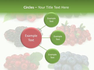 Nature Young Animal PowerPoint Template
