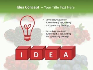 Nature Young Animal PowerPoint Template