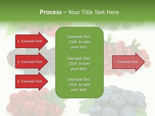 Nature Young Animal PowerPoint Template