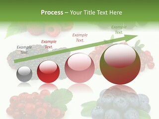 Nature Young Animal PowerPoint Template