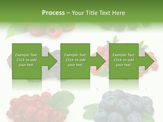 Nature Young Animal PowerPoint Template
