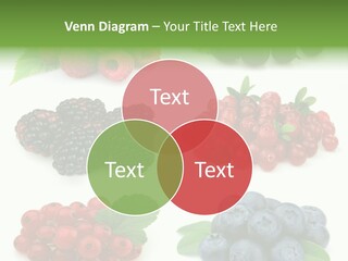 Nature Young Animal PowerPoint Template