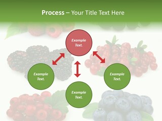 Nature Young Animal PowerPoint Template