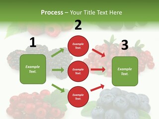 Nature Young Animal PowerPoint Template