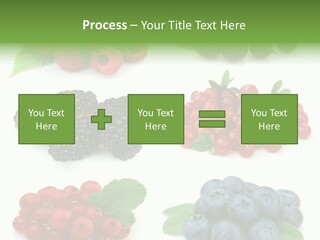 Nature Young Animal PowerPoint Template