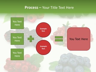 Nature Young Animal PowerPoint Template