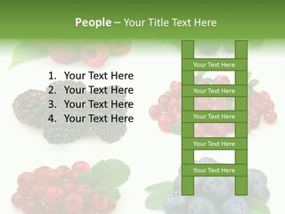 Nature Young Animal PowerPoint Template