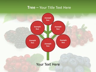 Nature Young Animal PowerPoint Template