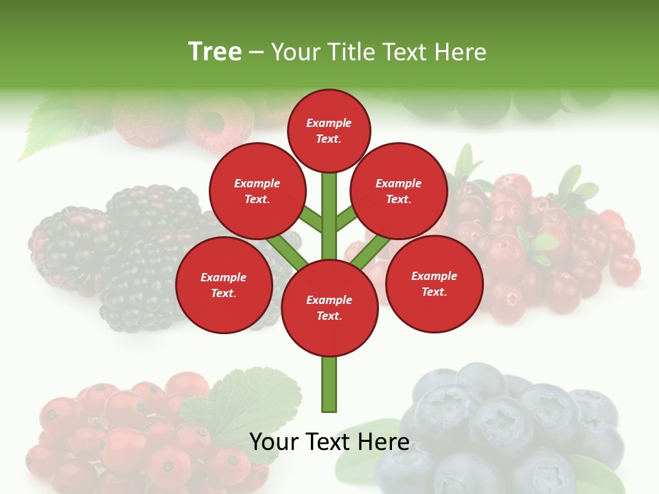 Nature Young Animal PowerPoint Template