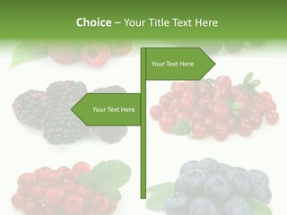 Nature Young Animal PowerPoint Template