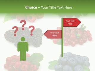 Nature Young Animal PowerPoint Template
