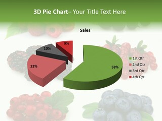 Nature Young Animal PowerPoint Template