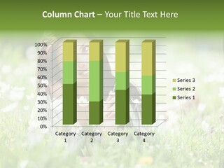 Nature Grass People PowerPoint Template