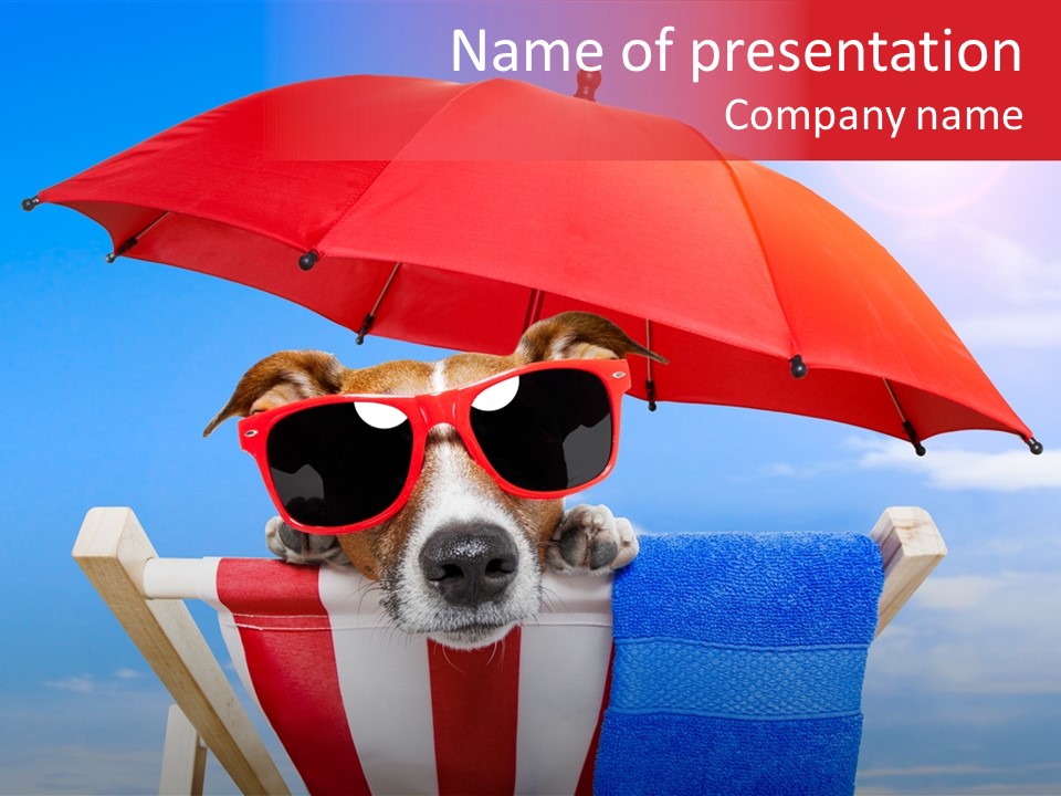 Shade Humor Funny PowerPoint Template