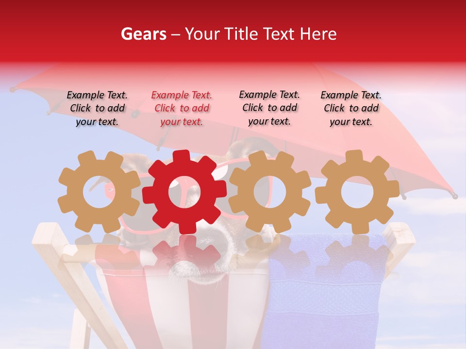 Shade Humor Funny PowerPoint Template