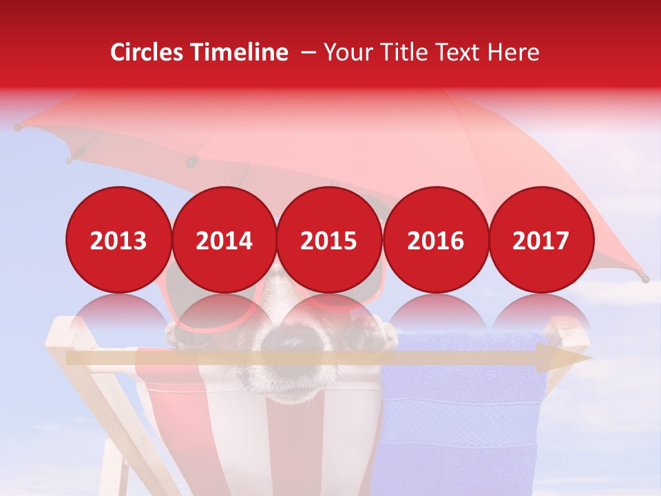 Shade Humor Funny PowerPoint Template