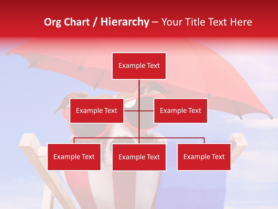 Shade Humor Funny PowerPoint Template