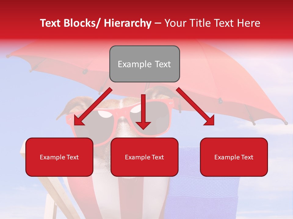 Shade Humor Funny PowerPoint Template