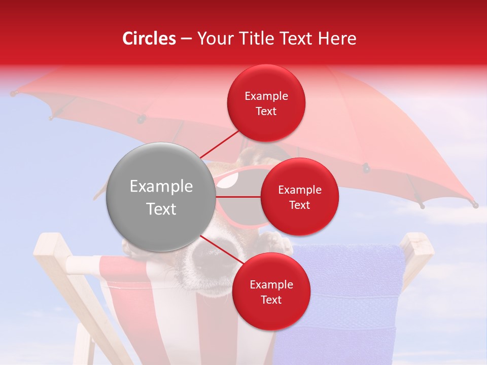 Shade Humor Funny PowerPoint Template