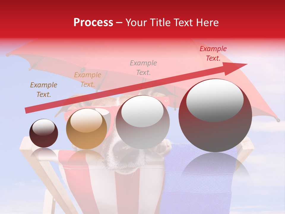 Shade Humor Funny PowerPoint Template