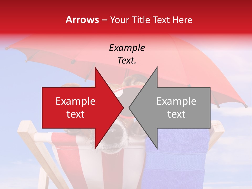 Shade Humor Funny PowerPoint Template