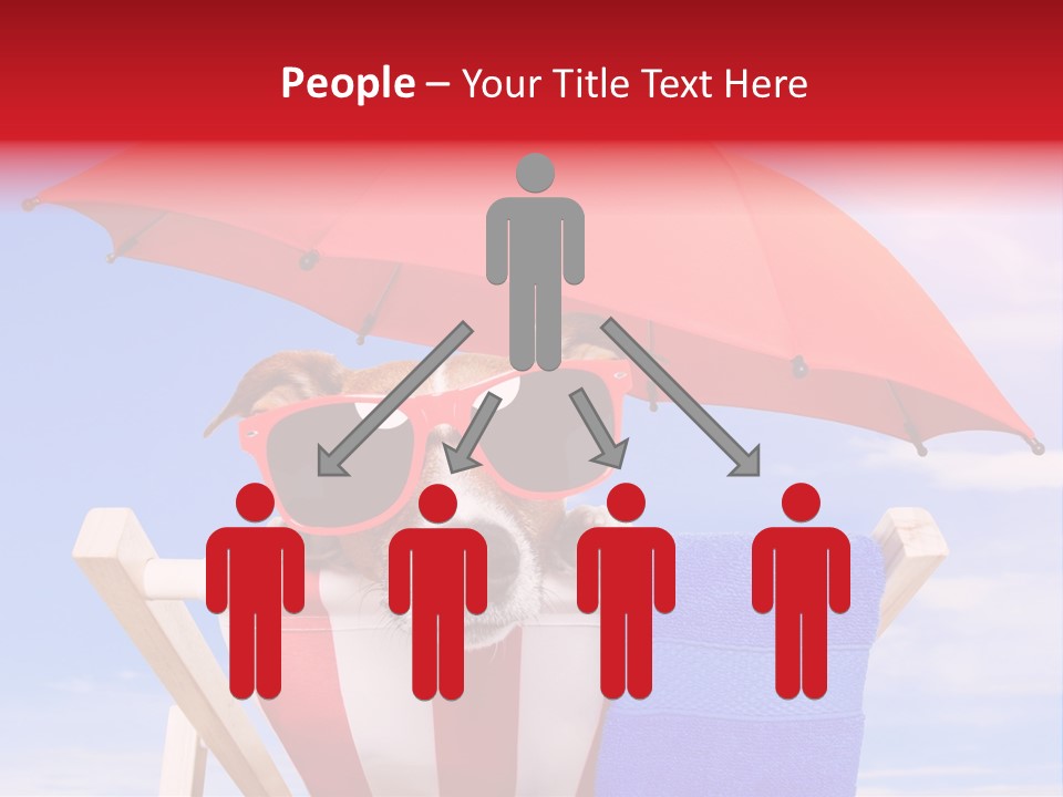 Shade Humor Funny PowerPoint Template