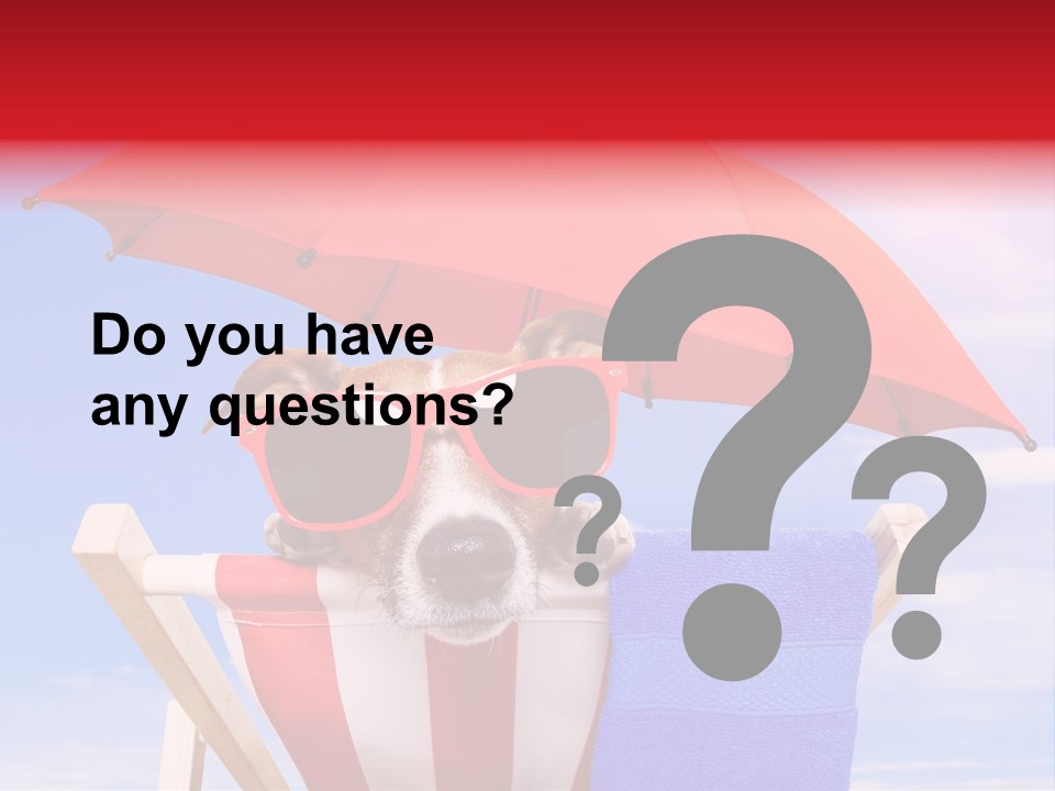 Shade Humor Funny PowerPoint Template