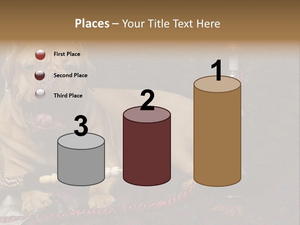 Expression Hookah Funny PowerPoint Template