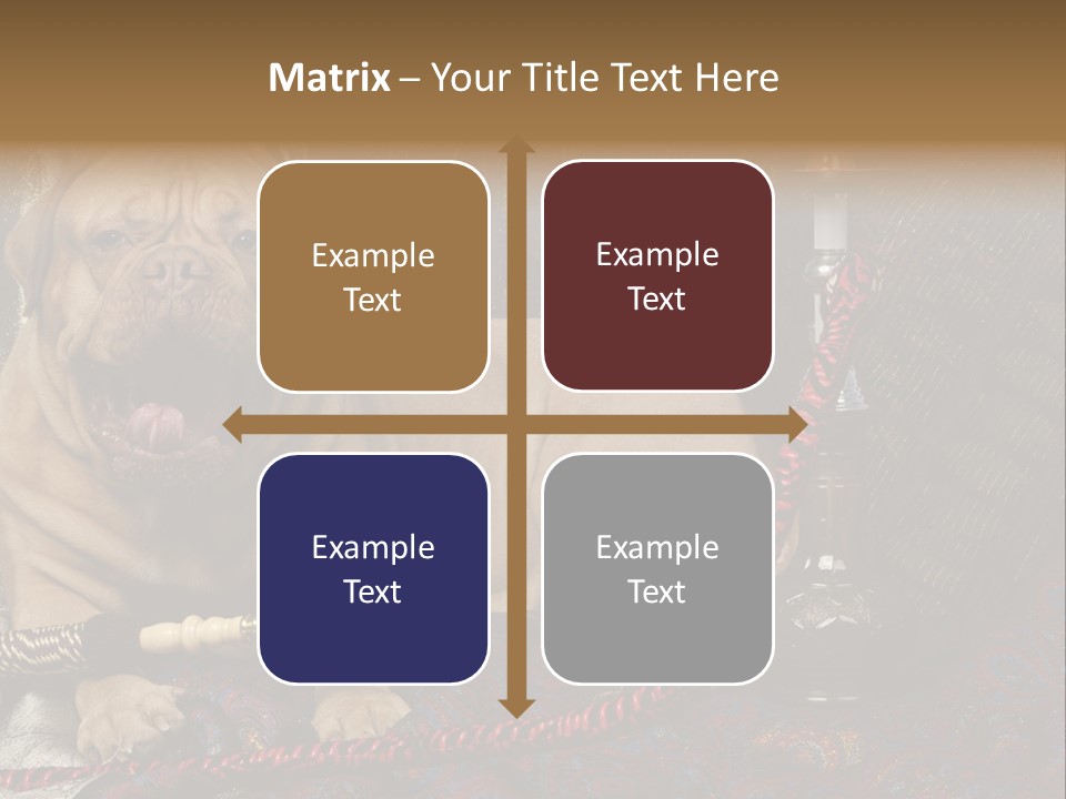 Expression Hookah Funny PowerPoint Template