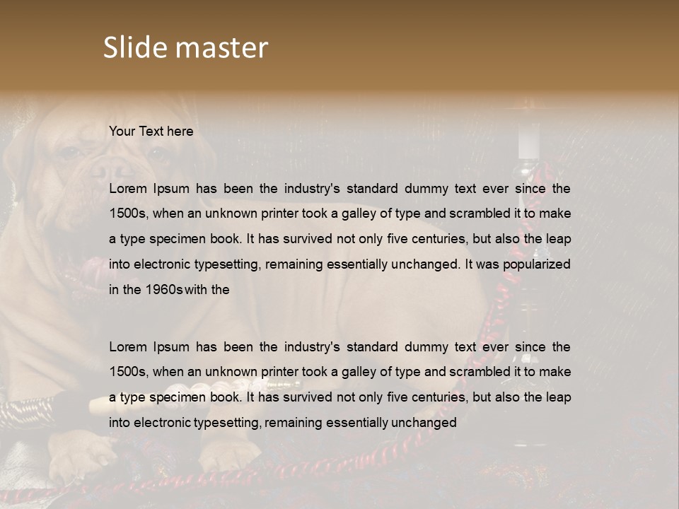 Expression Hookah Funny PowerPoint Template