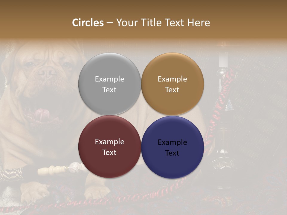 Expression Hookah Funny PowerPoint Template