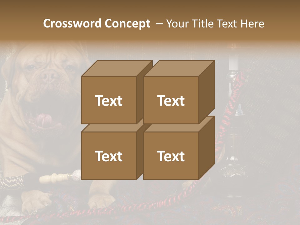 Expression Hookah Funny PowerPoint Template