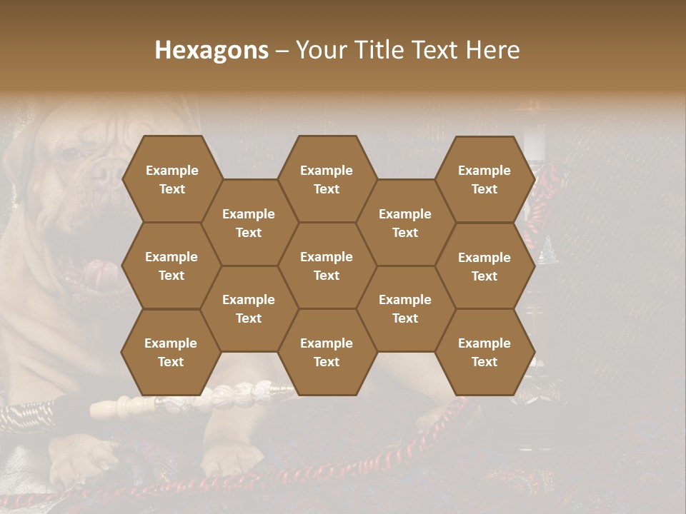 Expression Hookah Funny PowerPoint Template