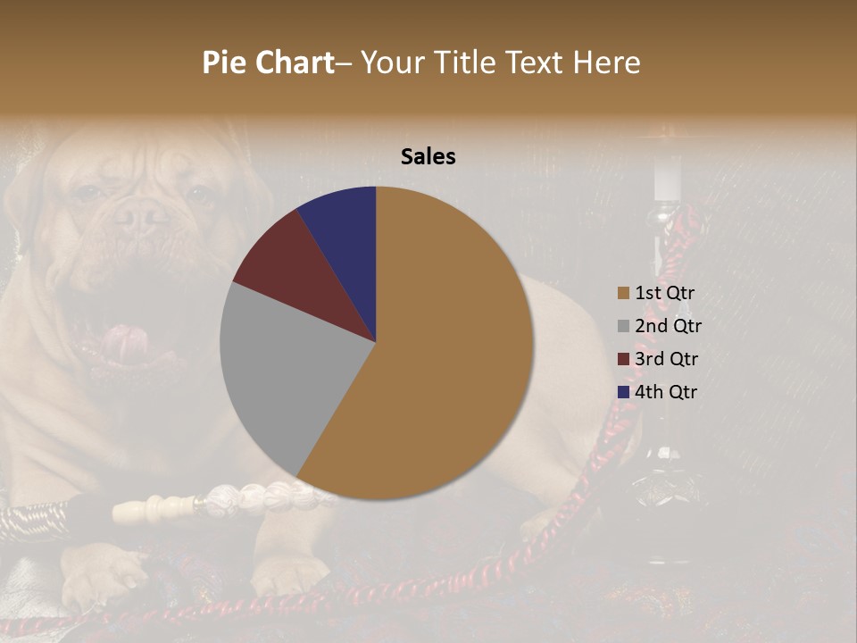 Expression Hookah Funny PowerPoint Template