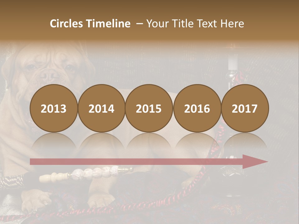 Expression Hookah Funny PowerPoint Template