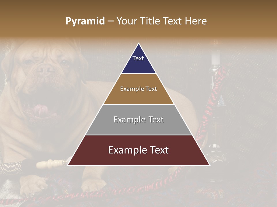 Expression Hookah Funny PowerPoint Template