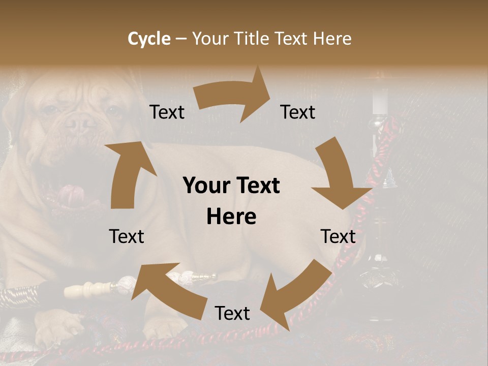 Expression Hookah Funny PowerPoint Template