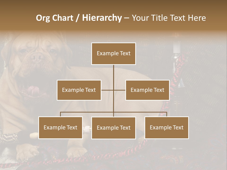 Expression Hookah Funny PowerPoint Template