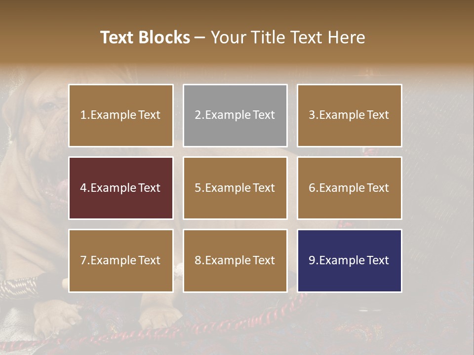 Expression Hookah Funny PowerPoint Template