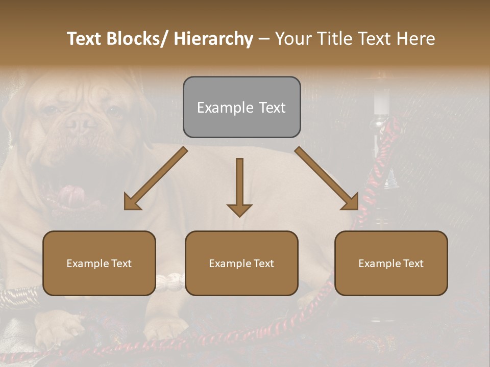 Expression Hookah Funny PowerPoint Template