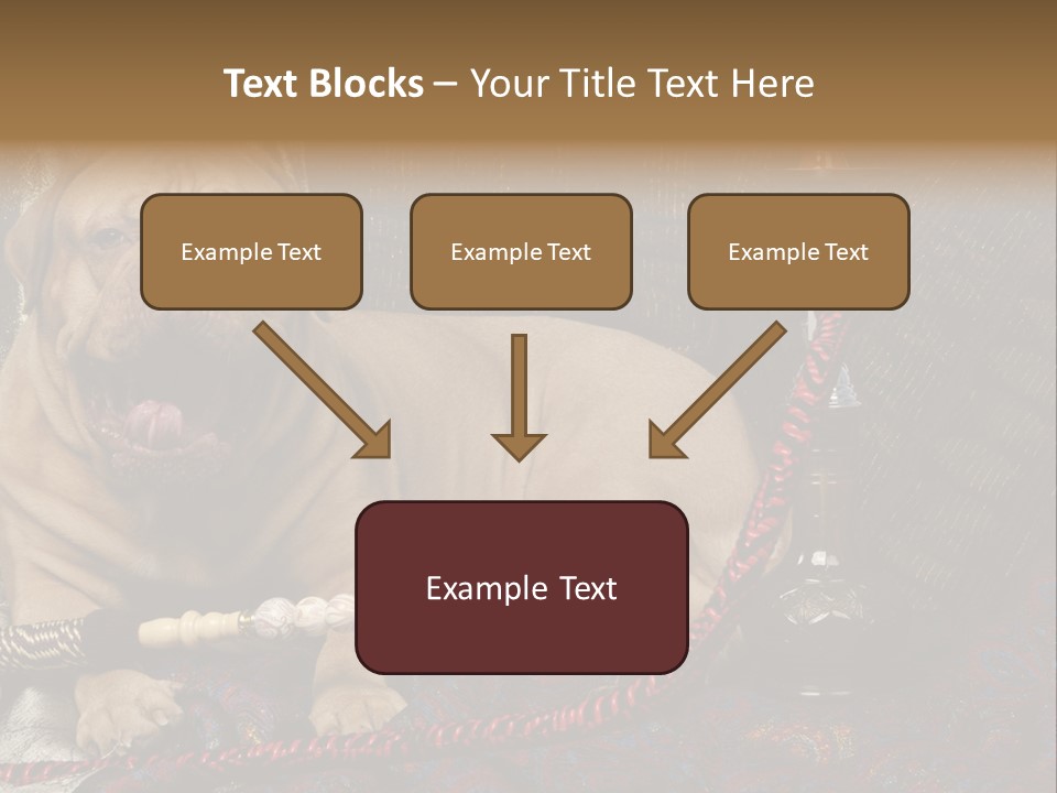 Expression Hookah Funny PowerPoint Template