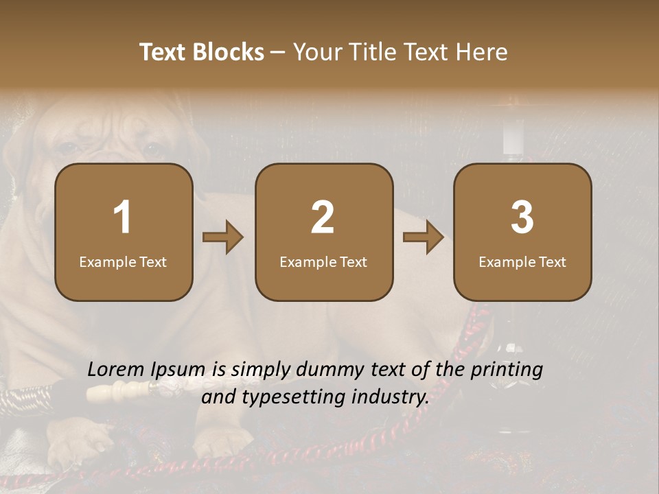 Expression Hookah Funny PowerPoint Template