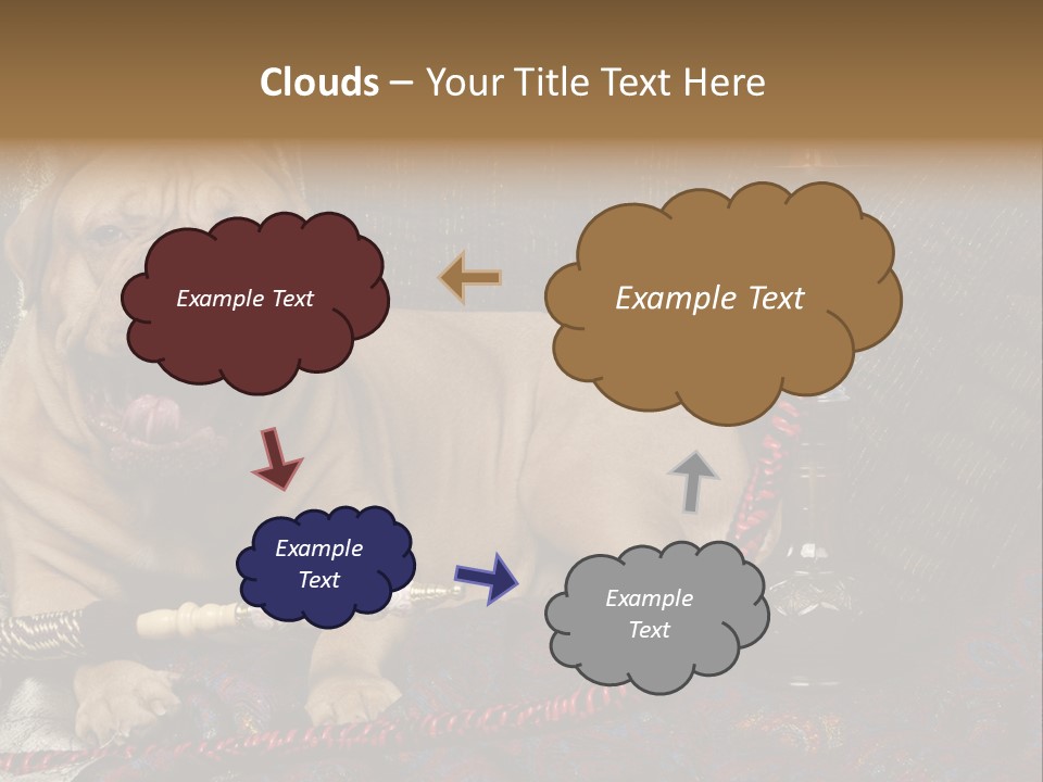 Expression Hookah Funny PowerPoint Template