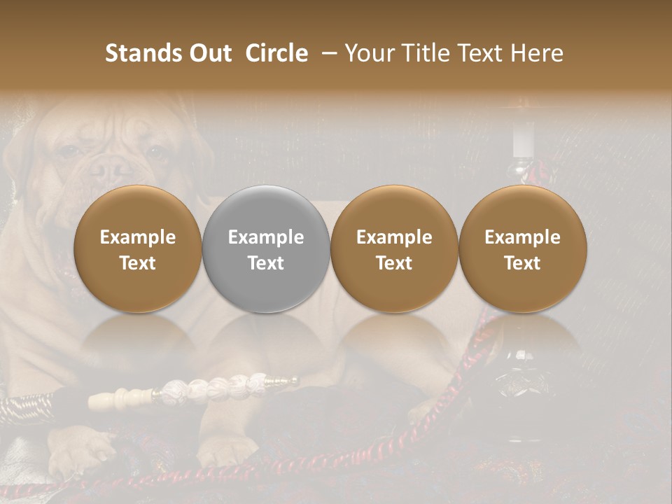 Expression Hookah Funny PowerPoint Template