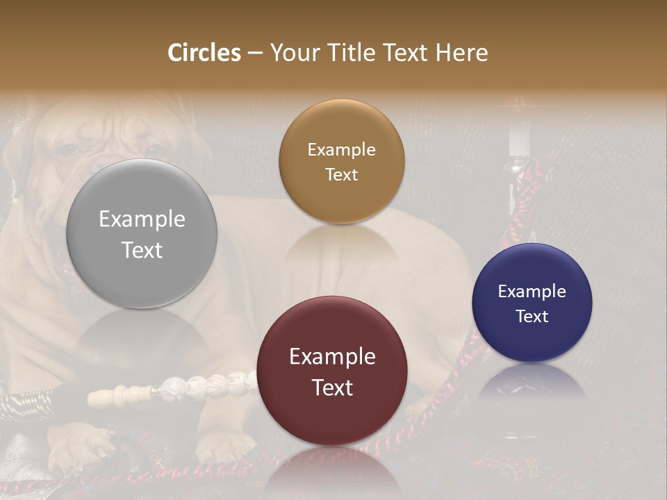 Expression Hookah Funny PowerPoint Template