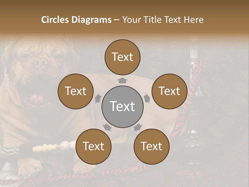 Expression Hookah Funny PowerPoint Template